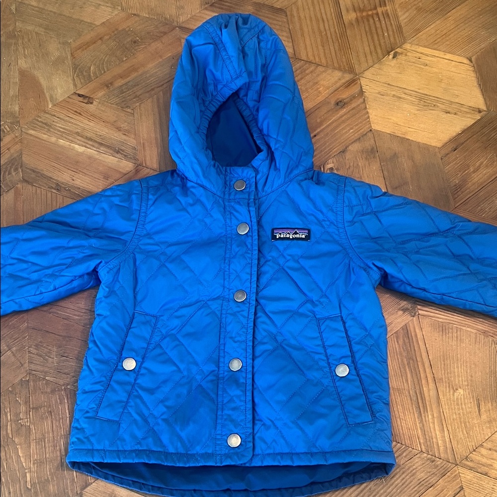 Patagonia Kids Vibrant Blue Hooded Puffer Jacket